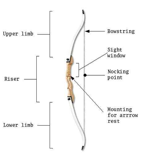 bow and arrow parts diagram