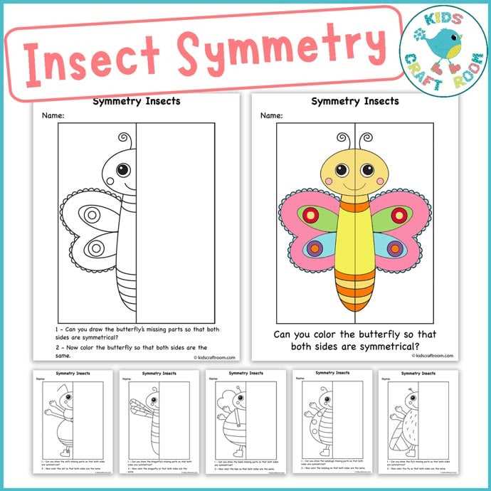 insect body parts diagram for kindergarten