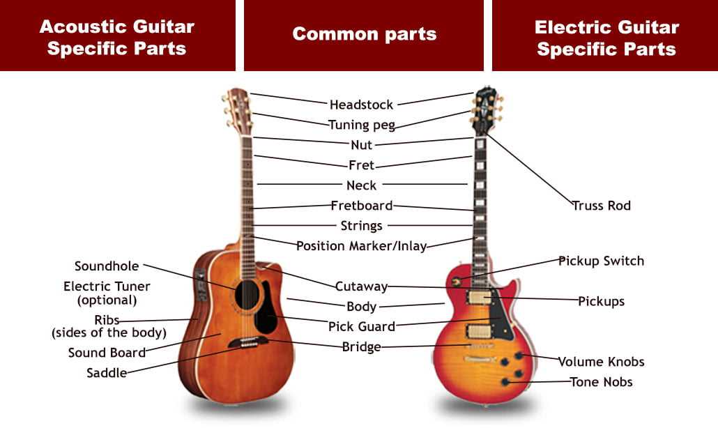 electric guitar diagram parts