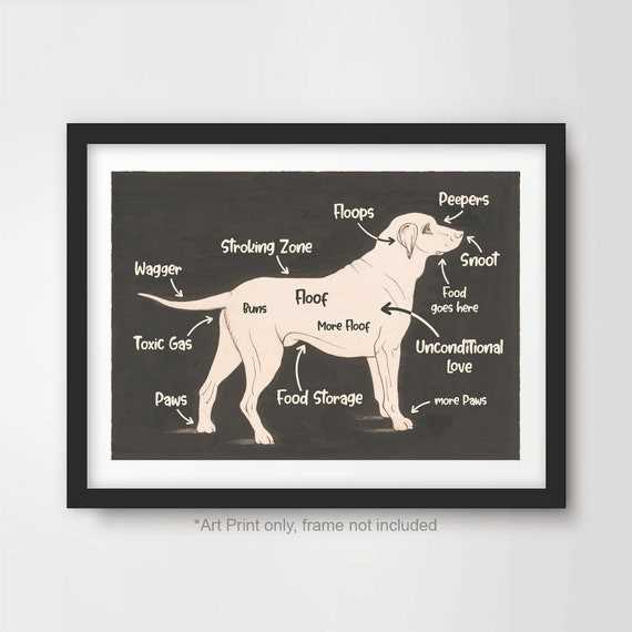 body parts of a dog diagram