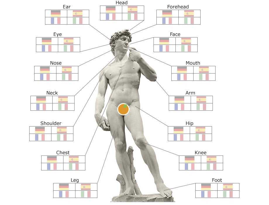 french body parts diagram