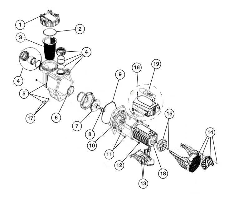 parts of a pool pump diagram