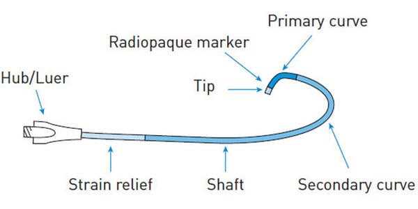 catheter parts diagram