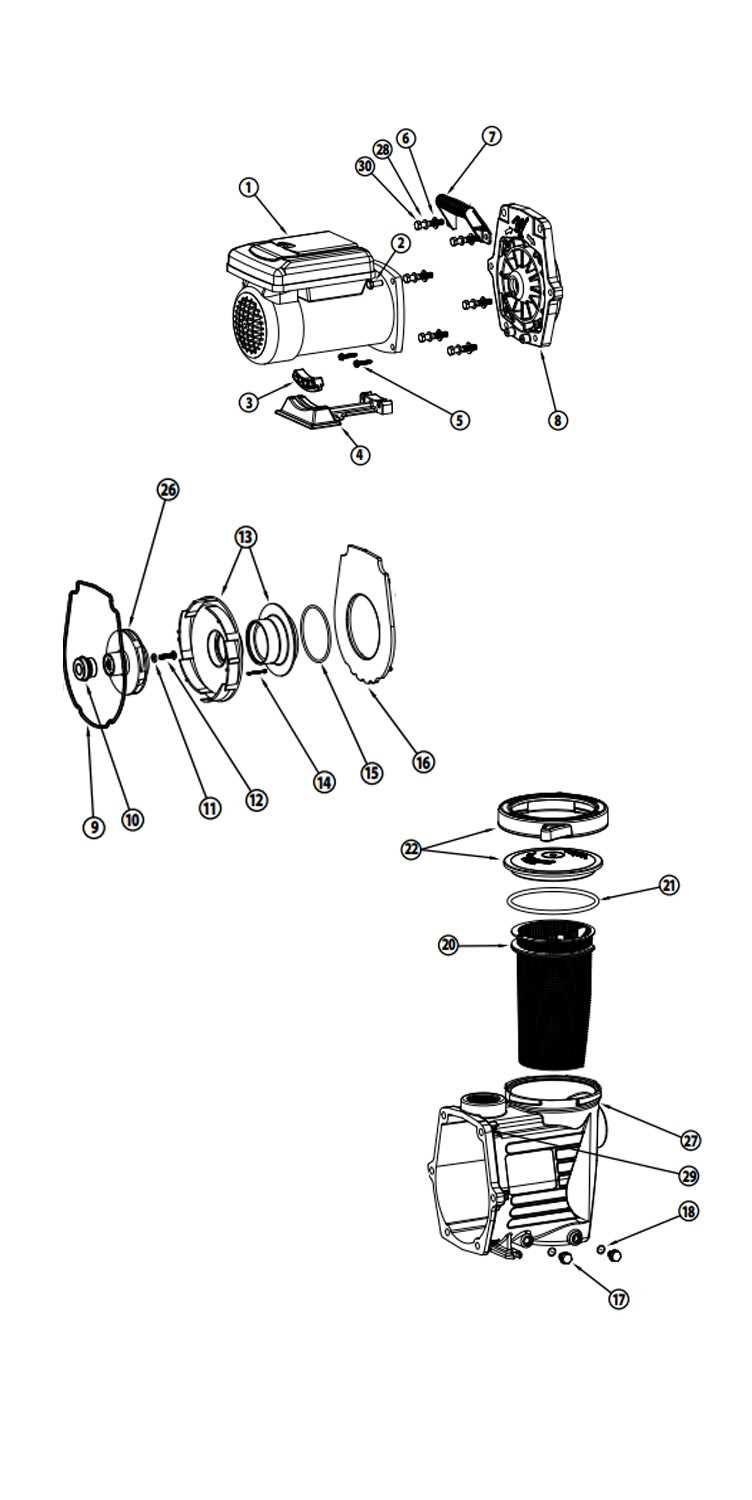 above ground pool pump parts diagram