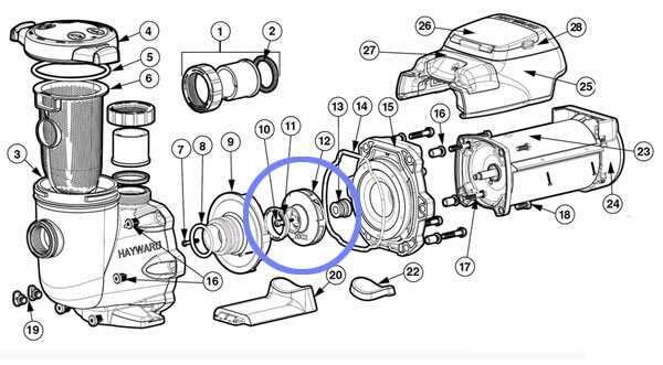 above ground pool pump parts diagram