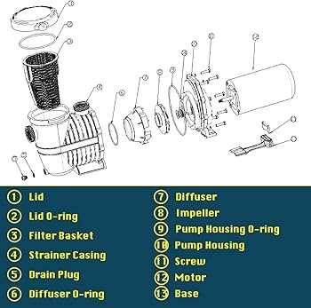 above ground pool pump parts diagram