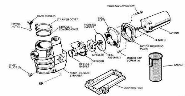 above ground pool pump parts diagram