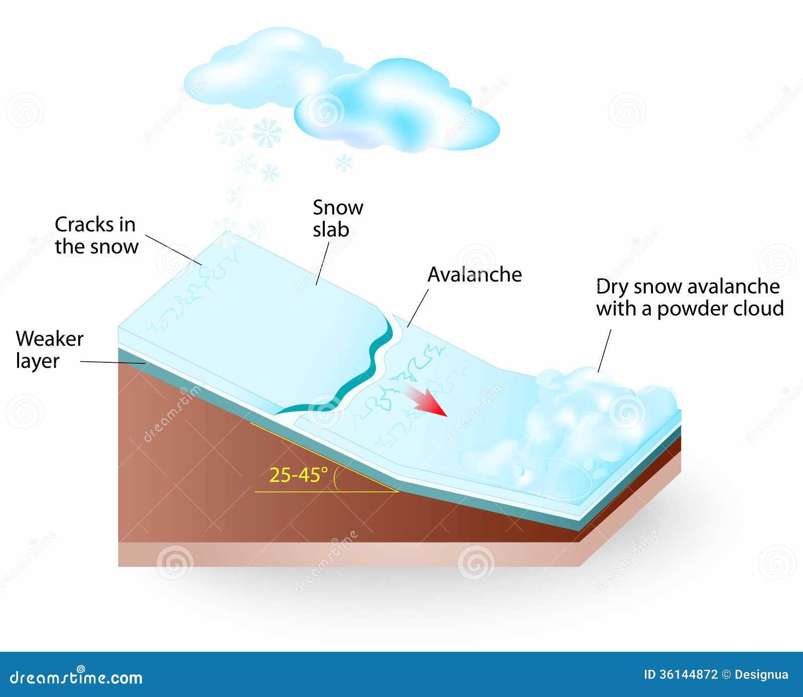 avalanche parts diagram