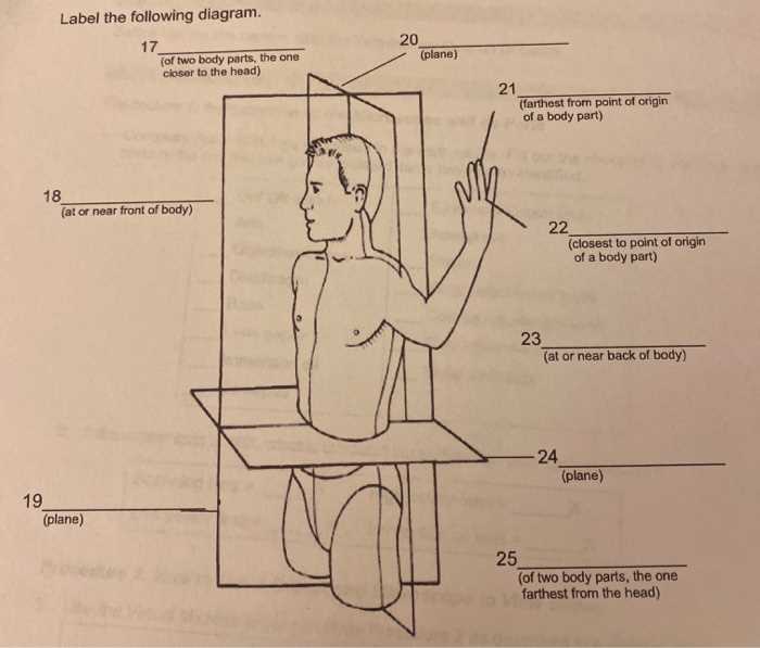 back body parts diagram