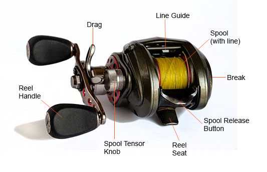 baitcaster parts diagram