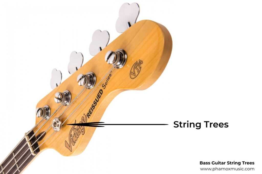 bass guitar parts diagram