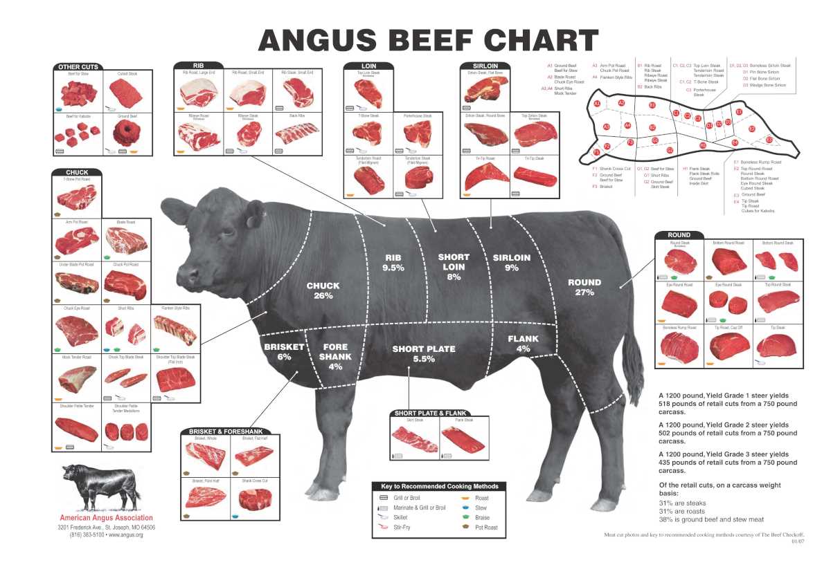 beef parts diagram