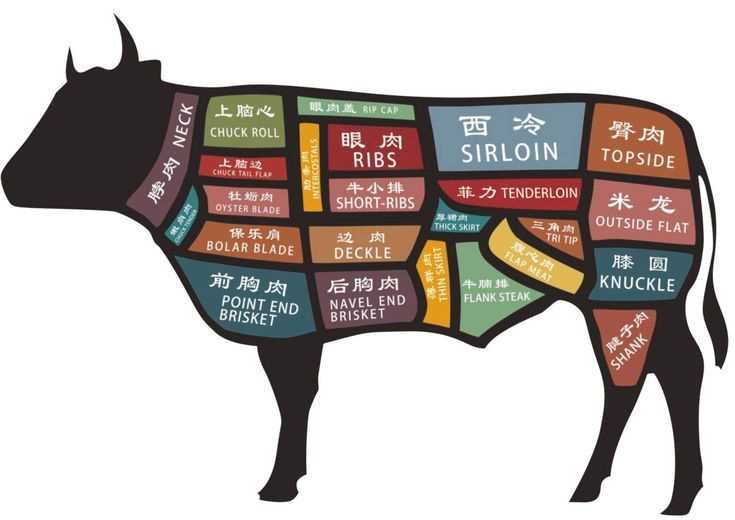 beef parts diagram