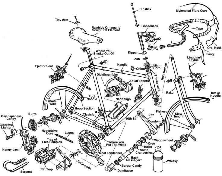 bicycle rear wheel parts diagram