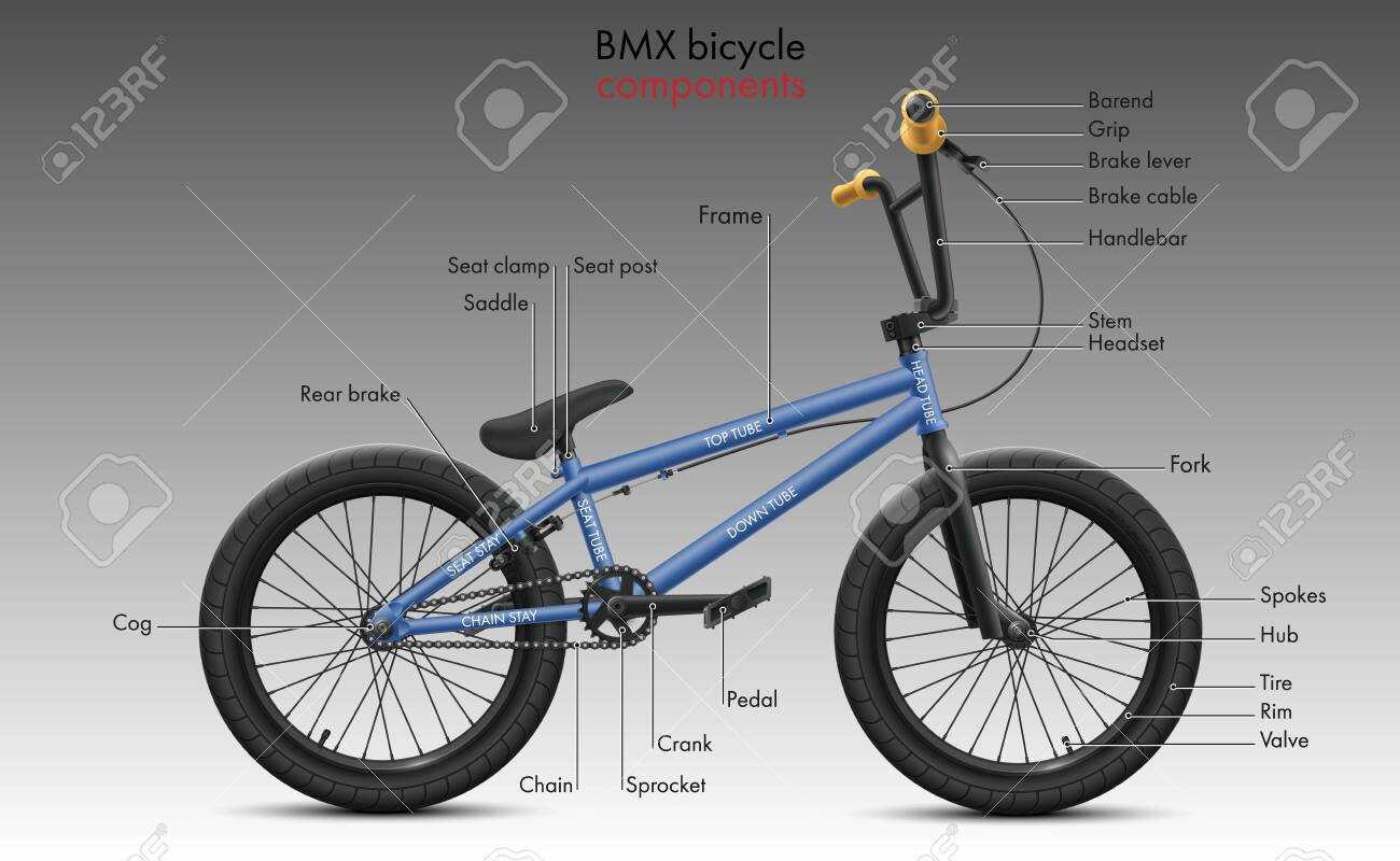 bike frame diagram with labeled parts