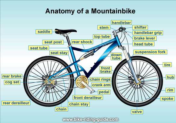 bike pedal parts diagram