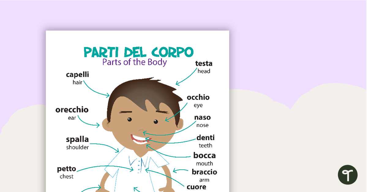 body parts in italian diagram