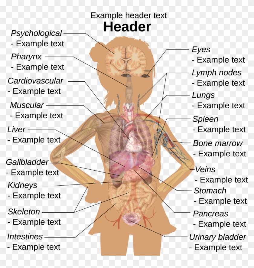 body parts with diagram