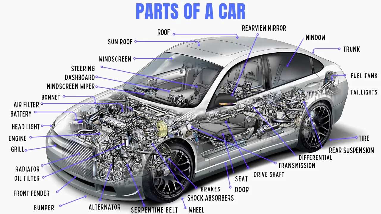 car body parts names diagram