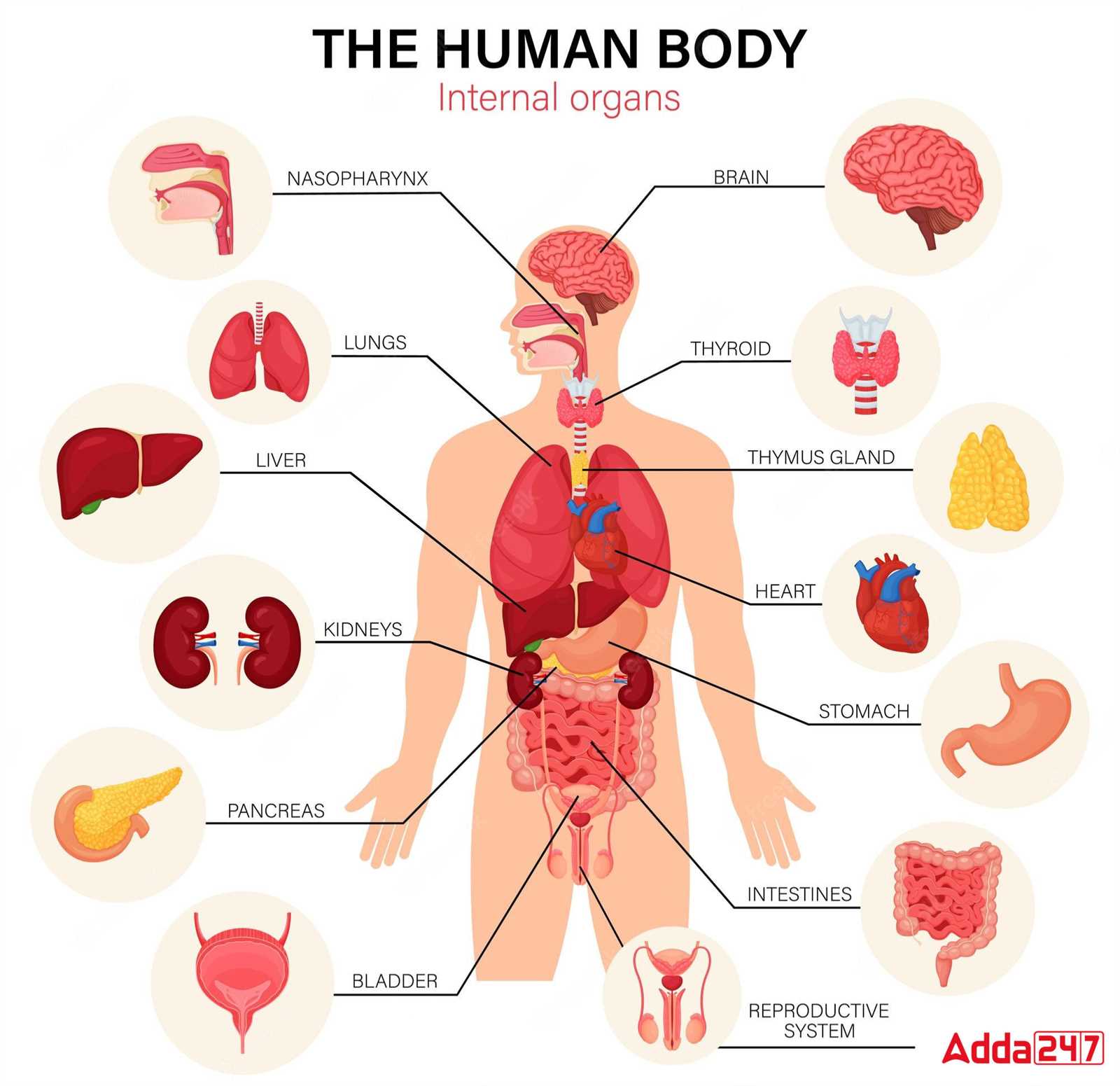 car body parts names with diagram