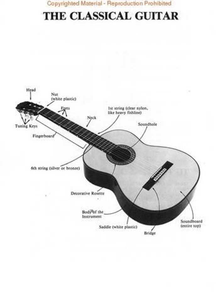 classical guitar parts diagram