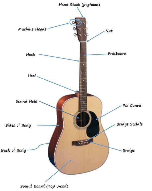 classical guitar parts diagram