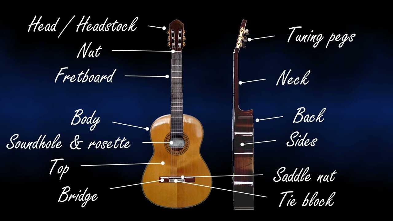 classical guitar parts diagram