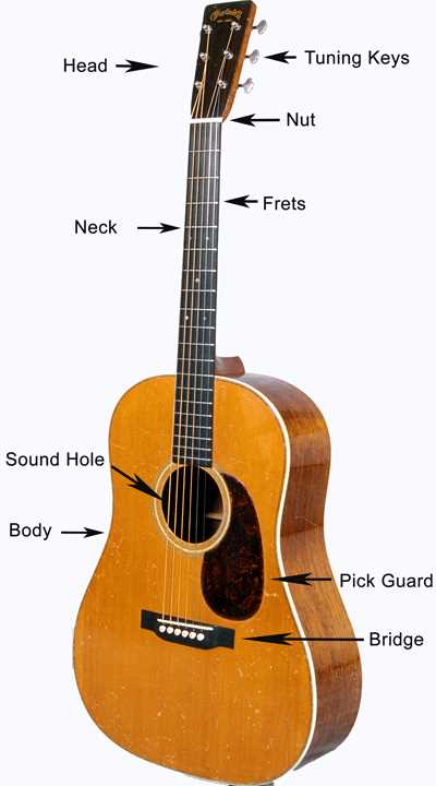 classical guitar parts diagram