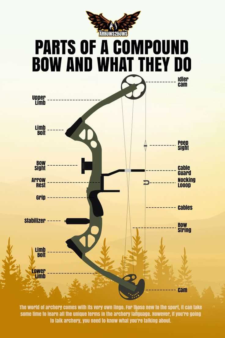 compound bow parts diagram