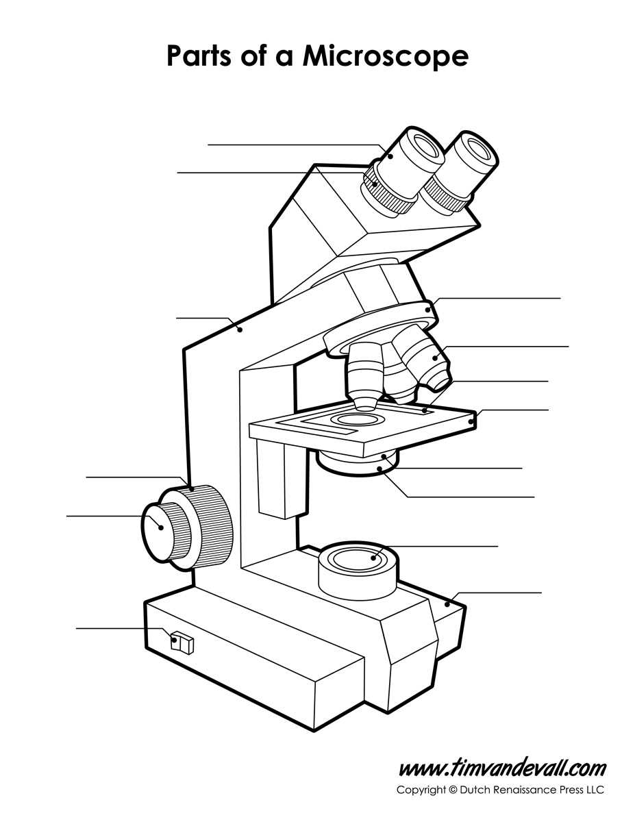 compound microscope parts diagram