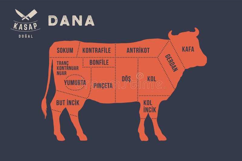 cow parts diagram