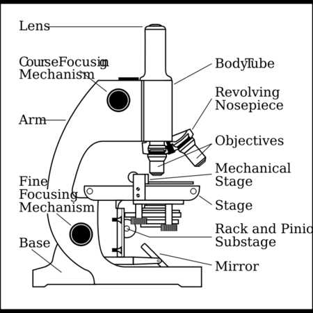 diagram of a microscope and functions of its parts