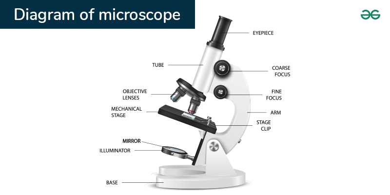 diagram of a microscope and functions of its parts