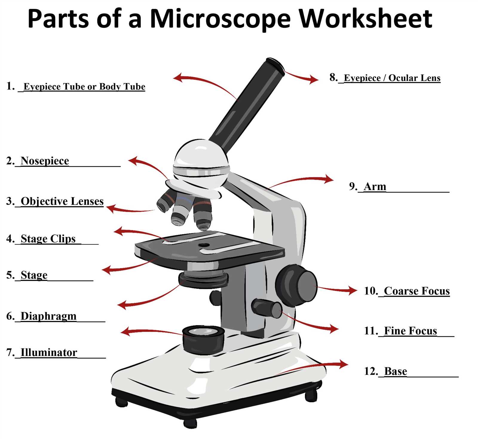 diagram of parts of a microscope