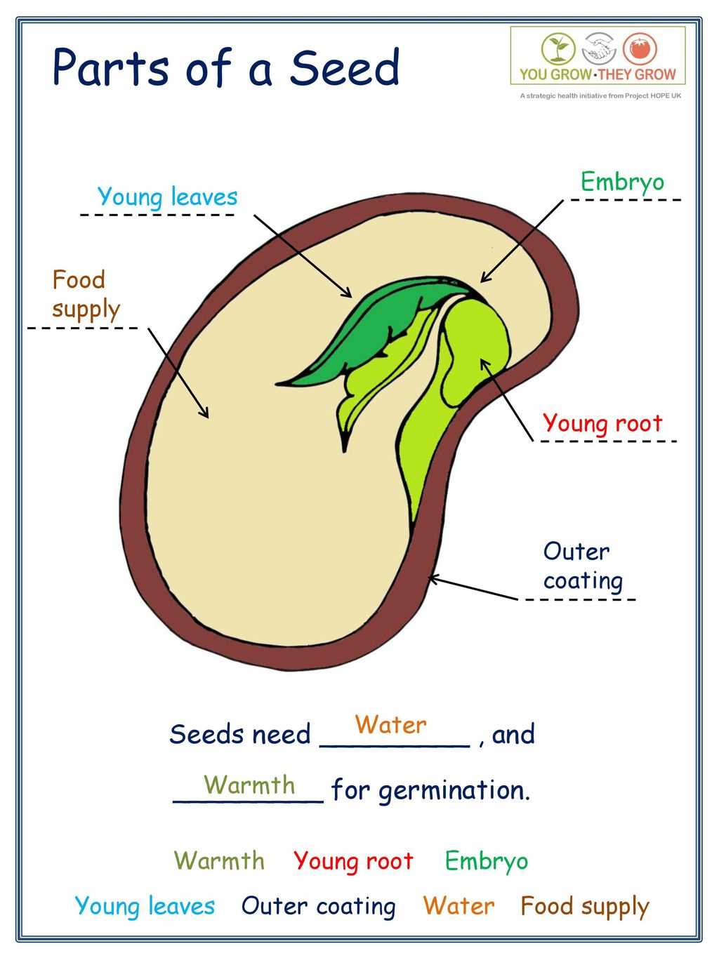 diagram of parts of a seed