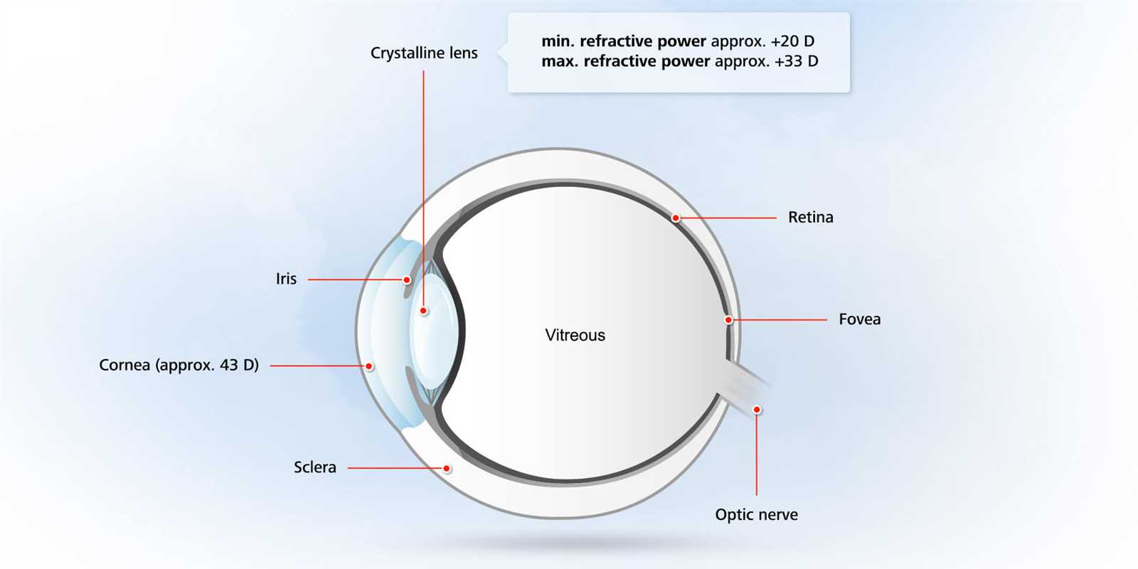 diagram of the parts of the eye