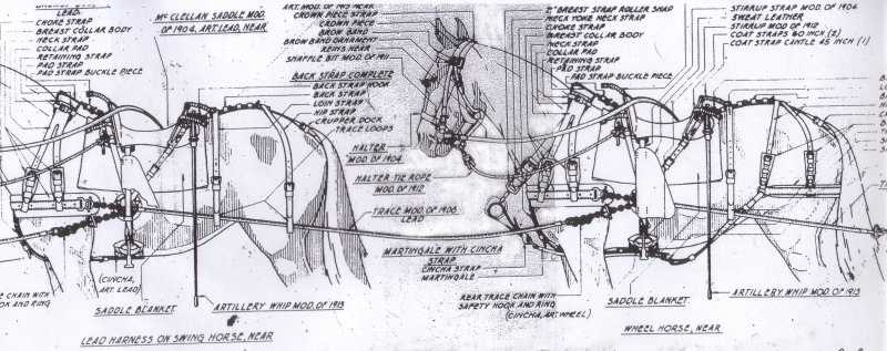 draft horse harness parts diagram