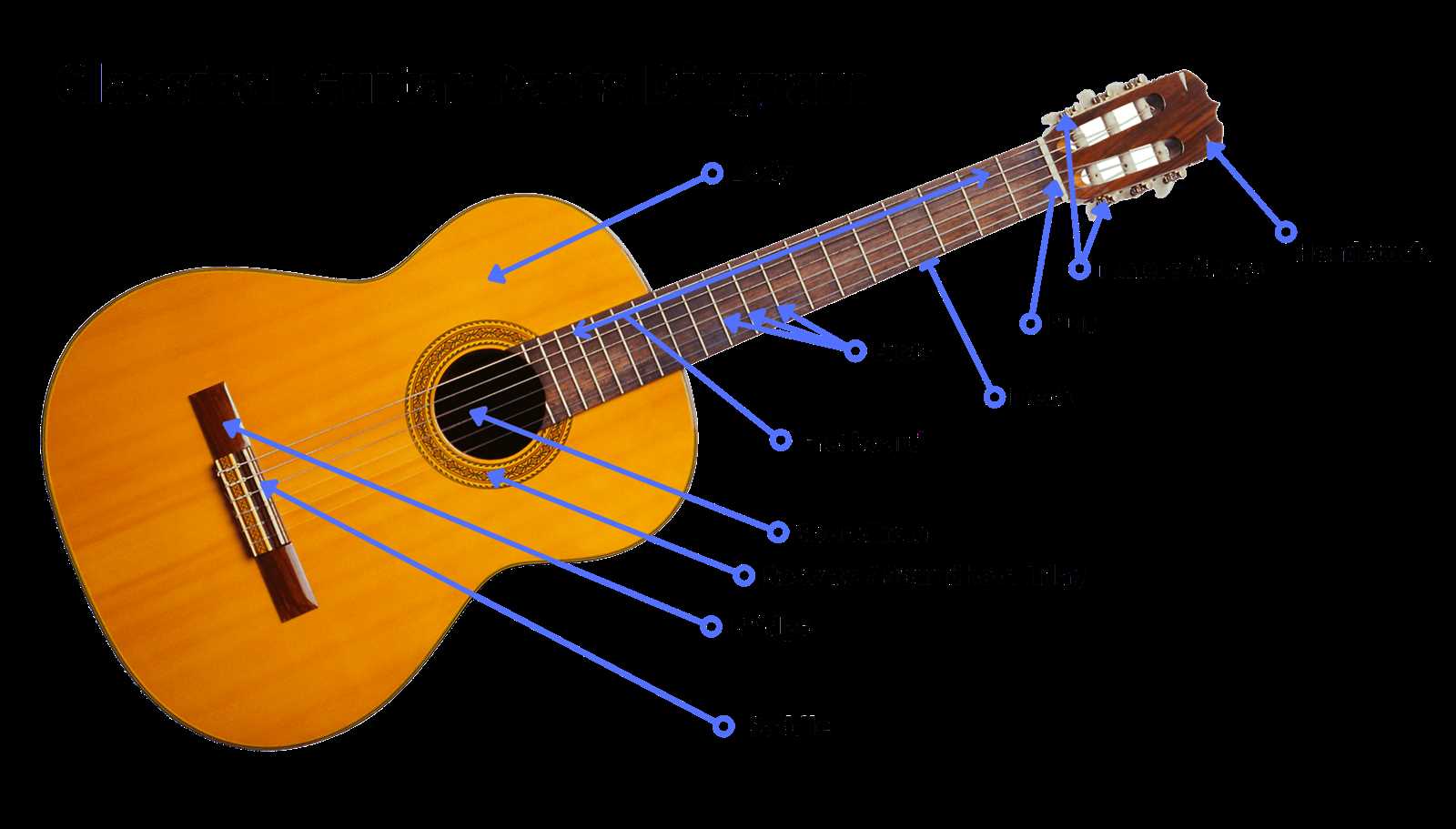 electric guitar bridge parts diagram