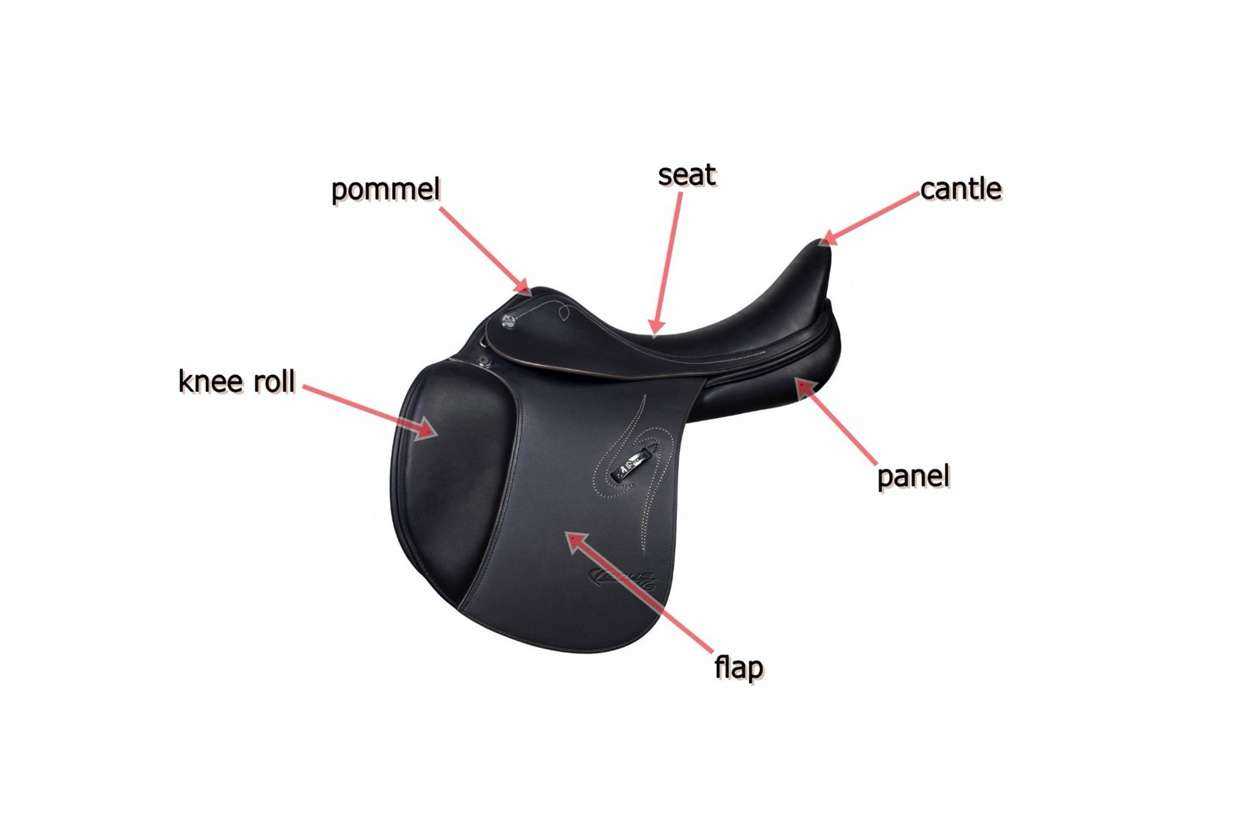 english saddle parts diagram