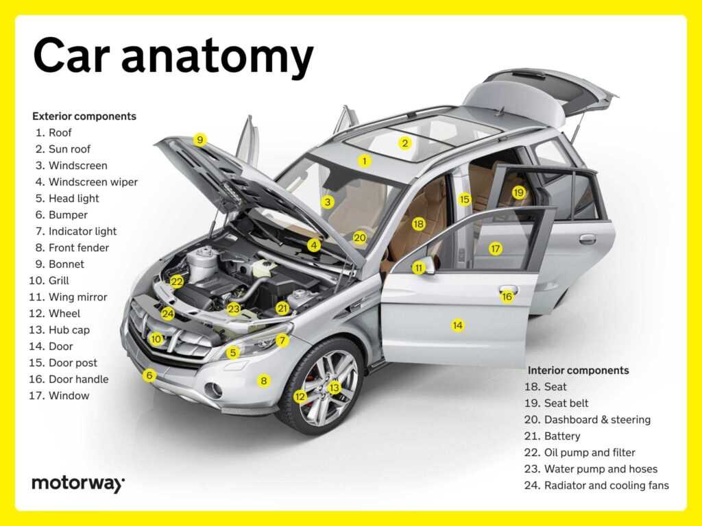 exterior auto body parts diagram