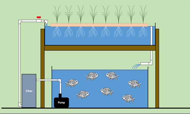 fish tank parts diagram