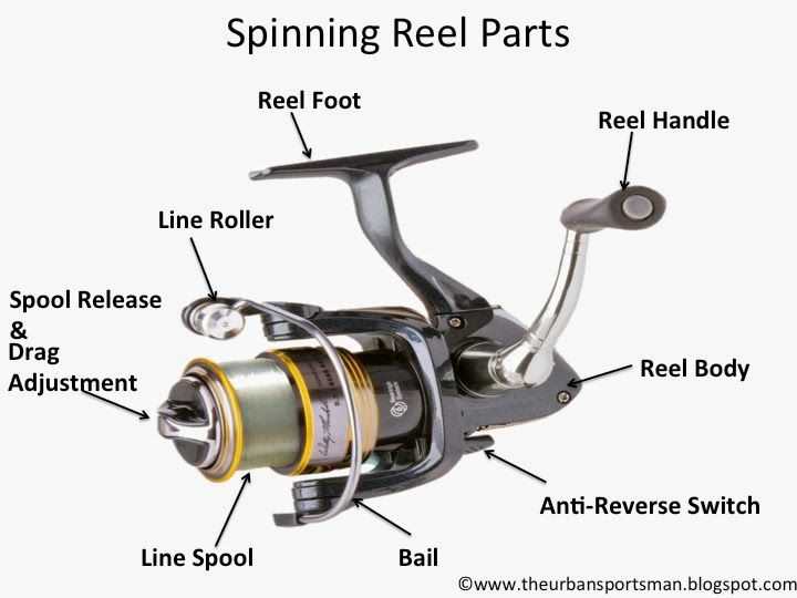 fishing reel parts diagram