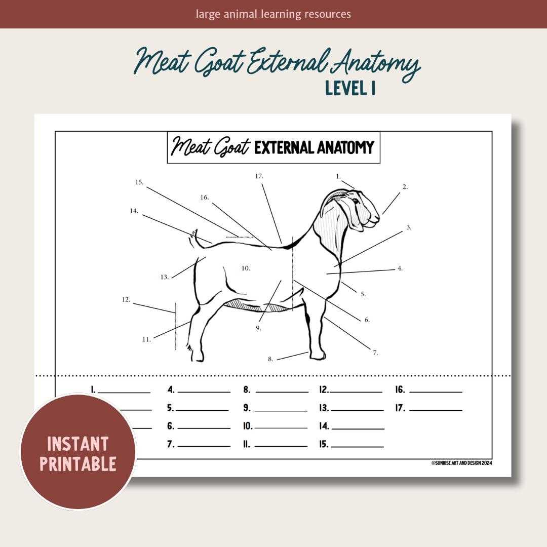 goat parts diagram