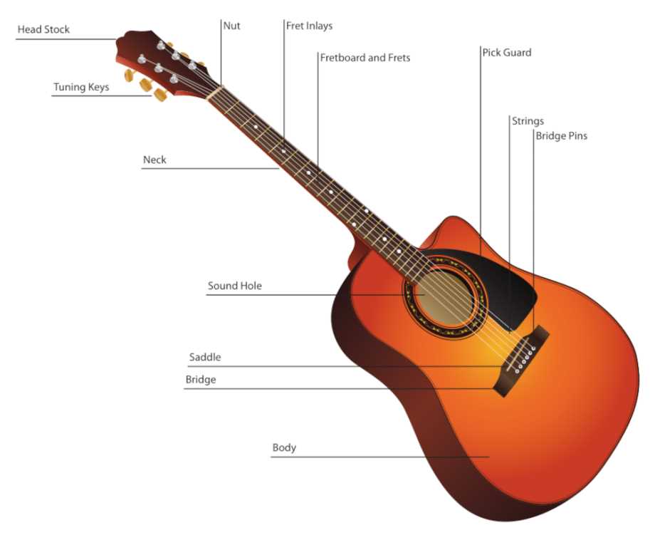 guitar diagram parts