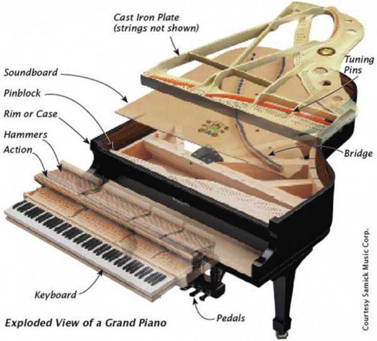 harp parts diagram