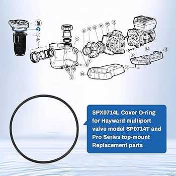 hayward s244t parts diagram