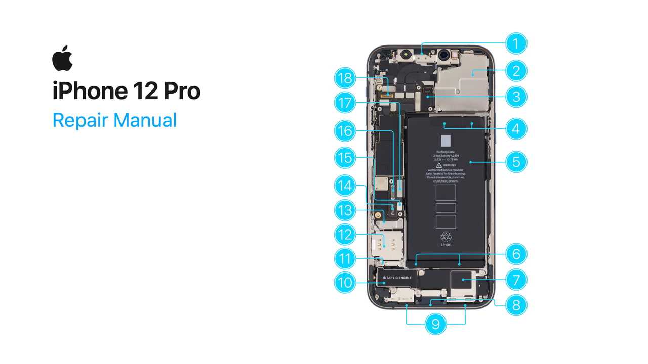 iphone 11 pro parts diagram