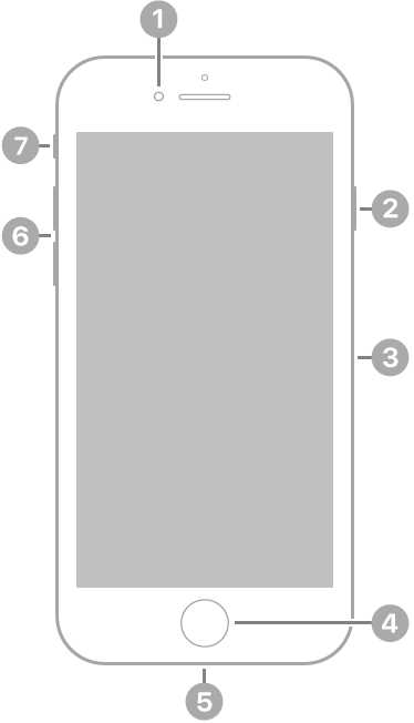 iphone se 2020 parts diagram