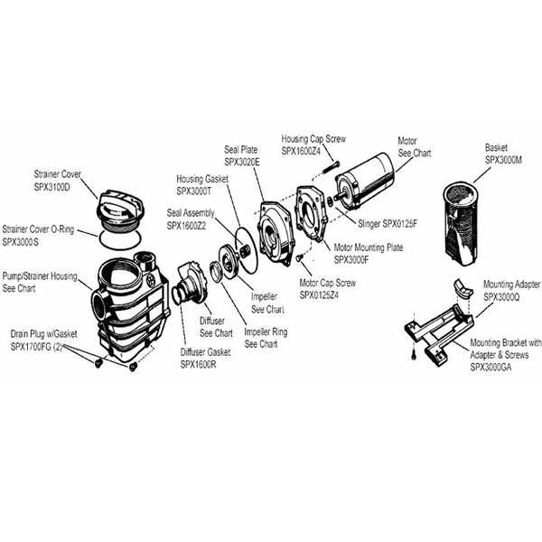 jacuzzi pool pump parts diagram