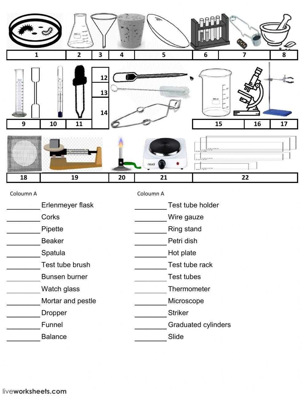 lab equipment part 1 diagram crossword answers